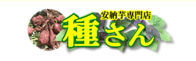 南種子町ふるさと納税